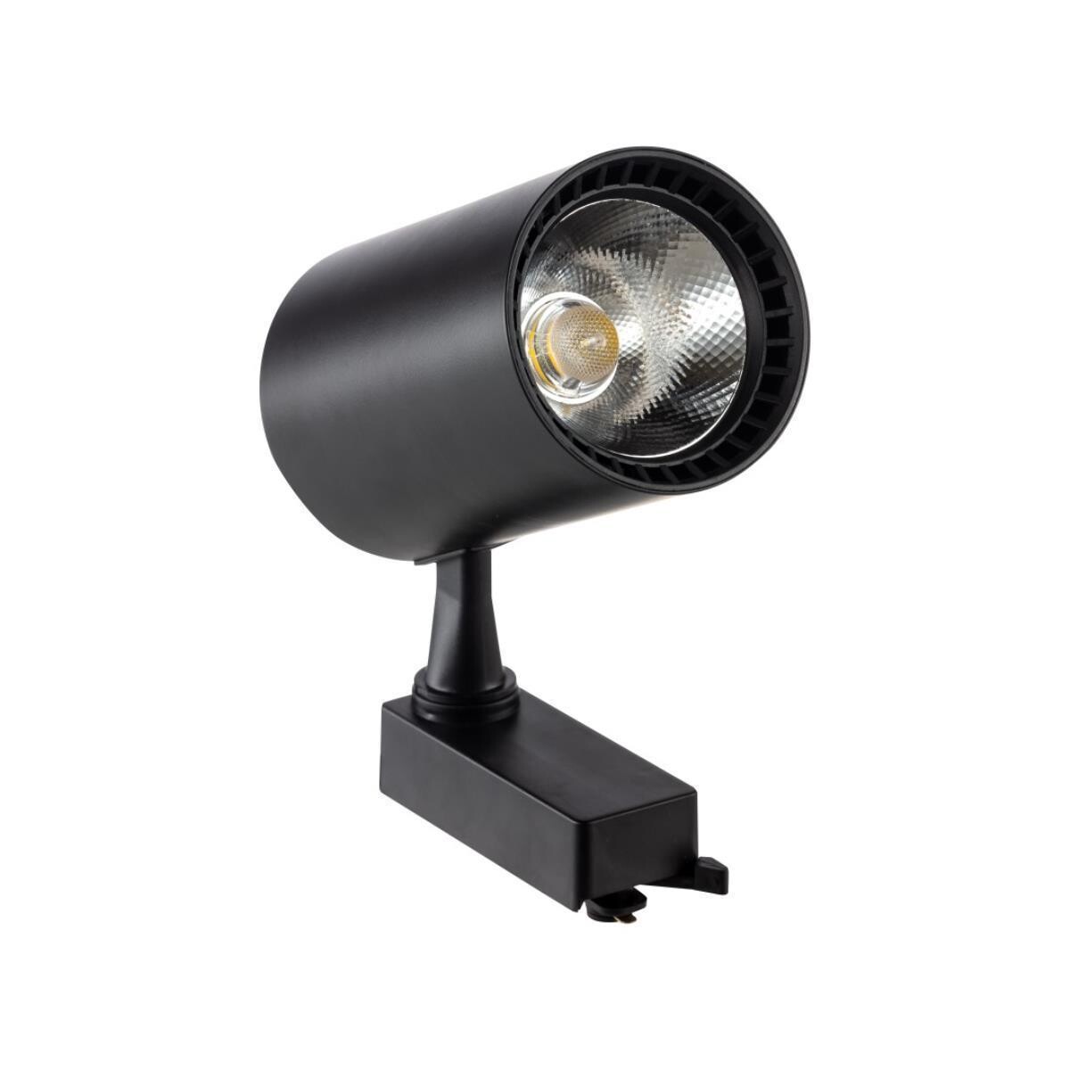 30W Ray Spot Armatürü Siyah Kasa